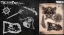Picture of Tattoo Pro Stencil - Pirates (ATPS165)