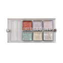 Picture of Encore Versa Alcohol Activated Palette - Iridescent Edition