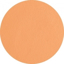 Picture of Superstar Light Sun Tan Complexion 45 Gram (009)