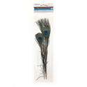 Picture of Real Peacock Feather 10''-14'' - (2pc)