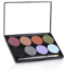 Picture of Mehron INntense Pro Pressed Powder Palette - Earth (8 shades) 168-PAL-E