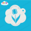 Picture of Tulip Flower  - Dream Mylar Stencil - 300