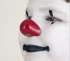 Picture of ProKNOWS Professional Clown Nose -  Medium Red Gloss Nose (E1)