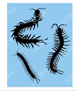 Picture of Centipede Stencil - QEZ91