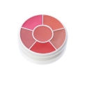 Picture of Ben Nye Medley Creme Rouge Wheel CR-100 - 1 oz