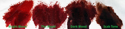 Picture of EBA Transfusion Blood  - The Blood (Deep Wound) - Vial