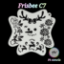 Picture of PK Frisbee Stencils - Winter Fun - C7