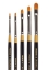 Picture of King Art Original Gold 9510 Short Filbert Series Brushes, Set of 5 (B-093)